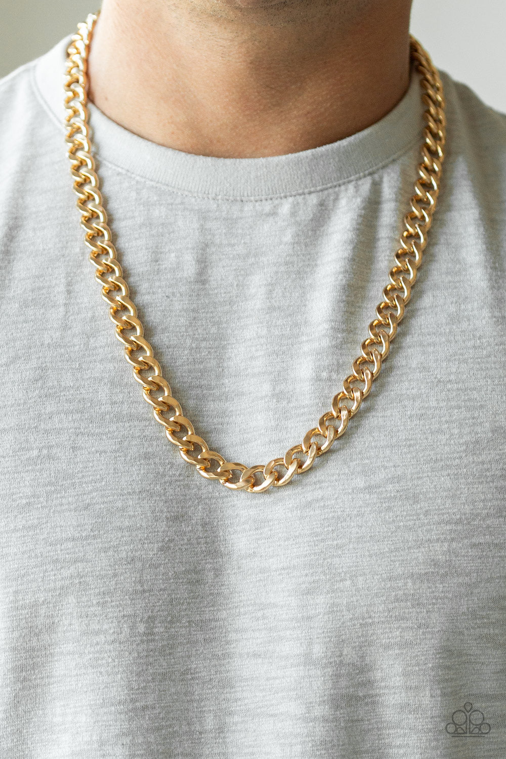 Paparazzi Alpha Mens Necklaces Sets