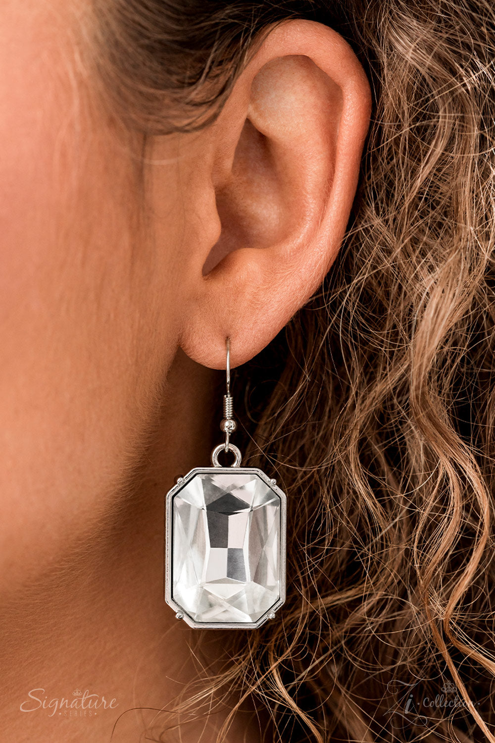 Paparazzi The Tasha  Necklaces 2022 ZI Collections