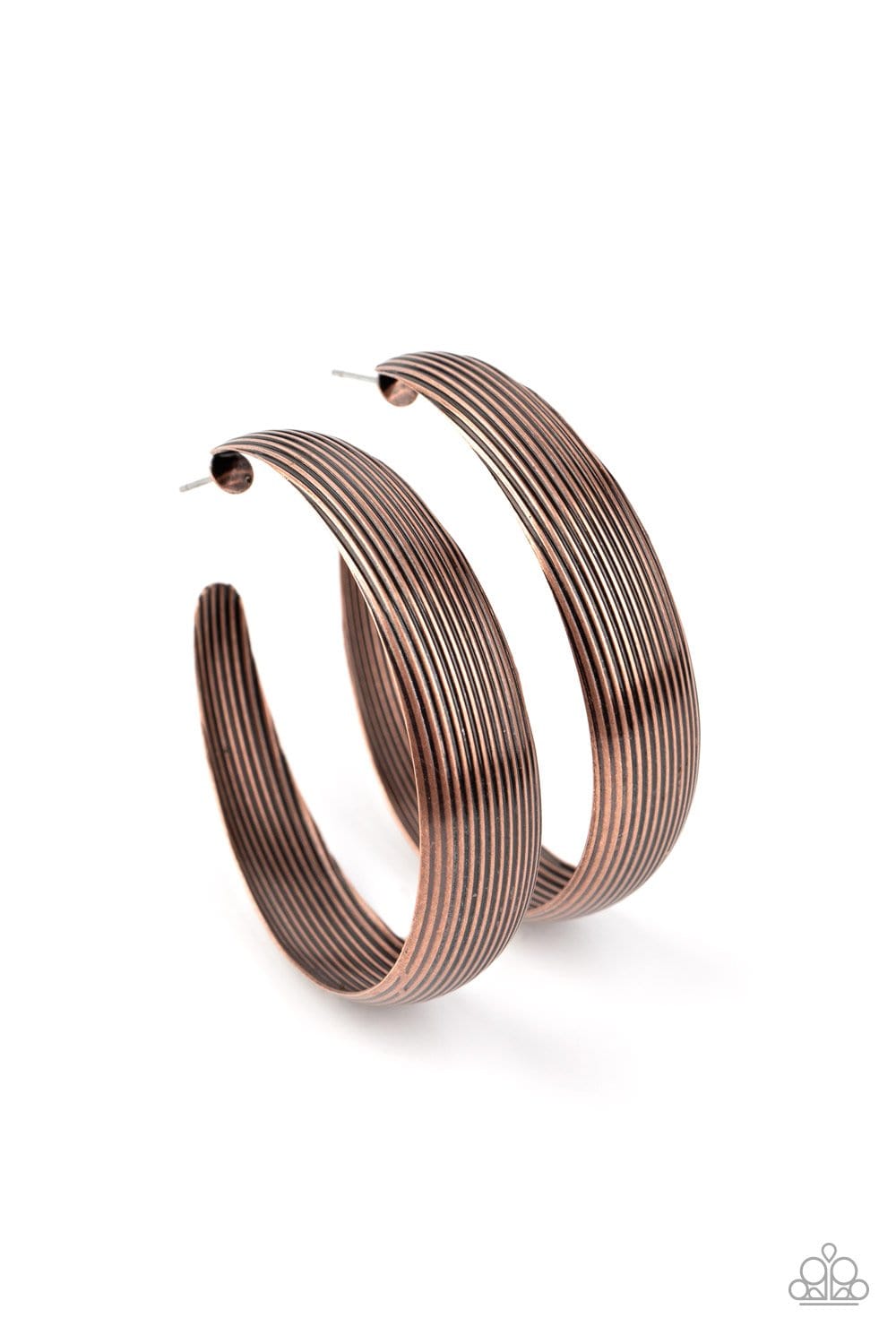 Desert Wanderings Hoops