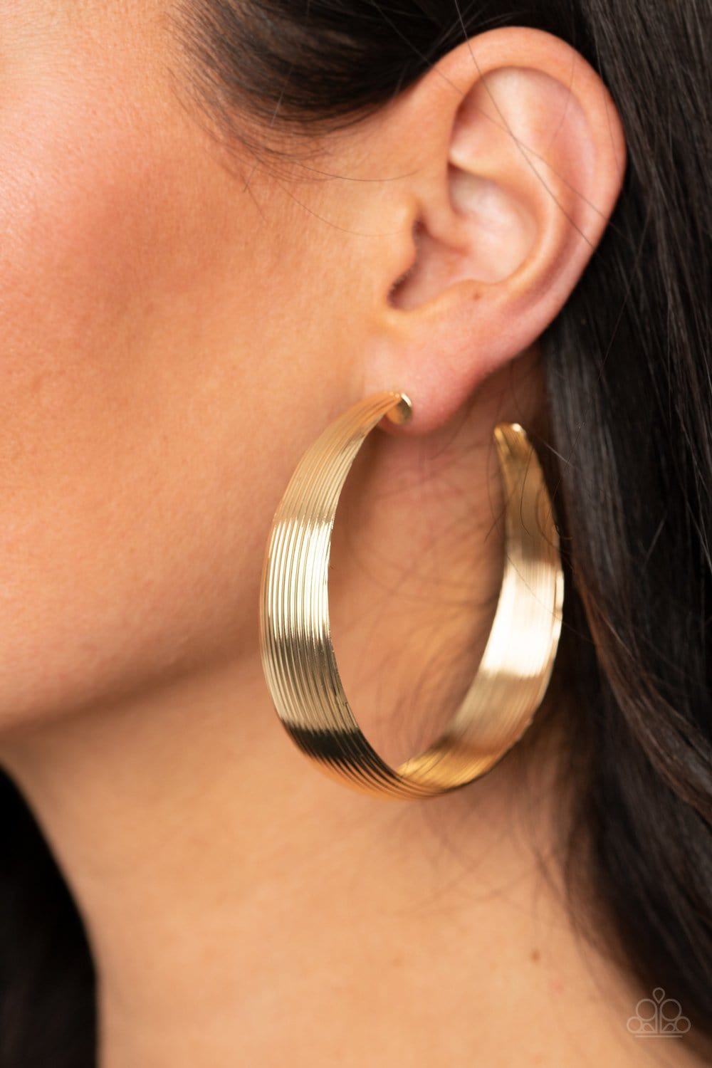 Desert Wanderings Hoops