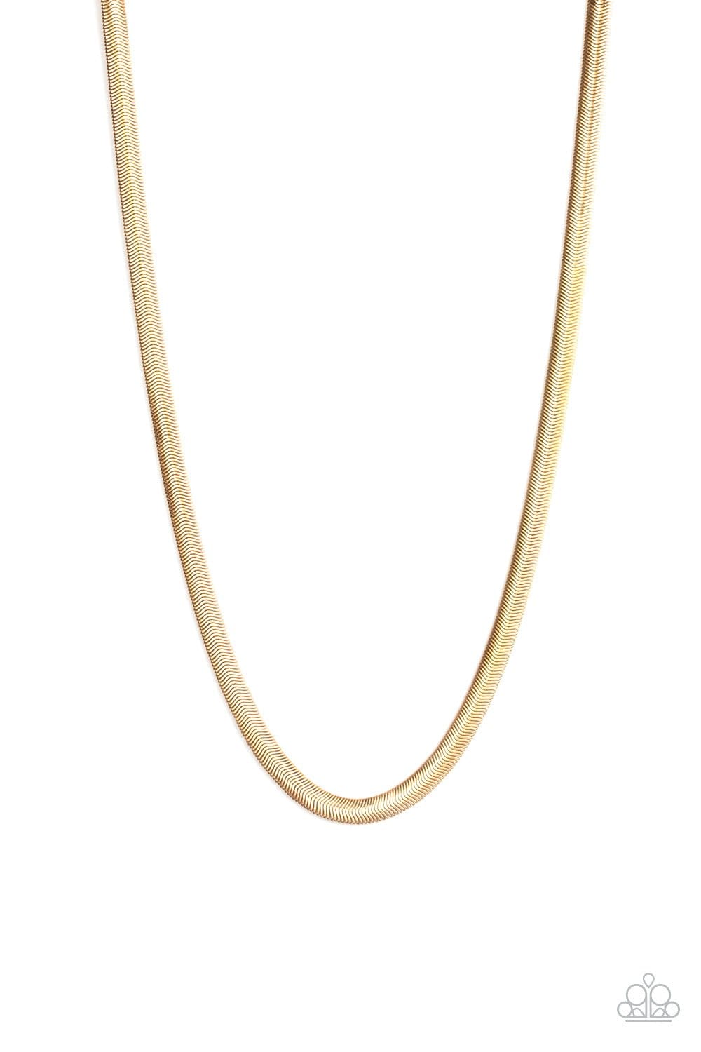 Paparazzi Kingpin Mens Necklaces