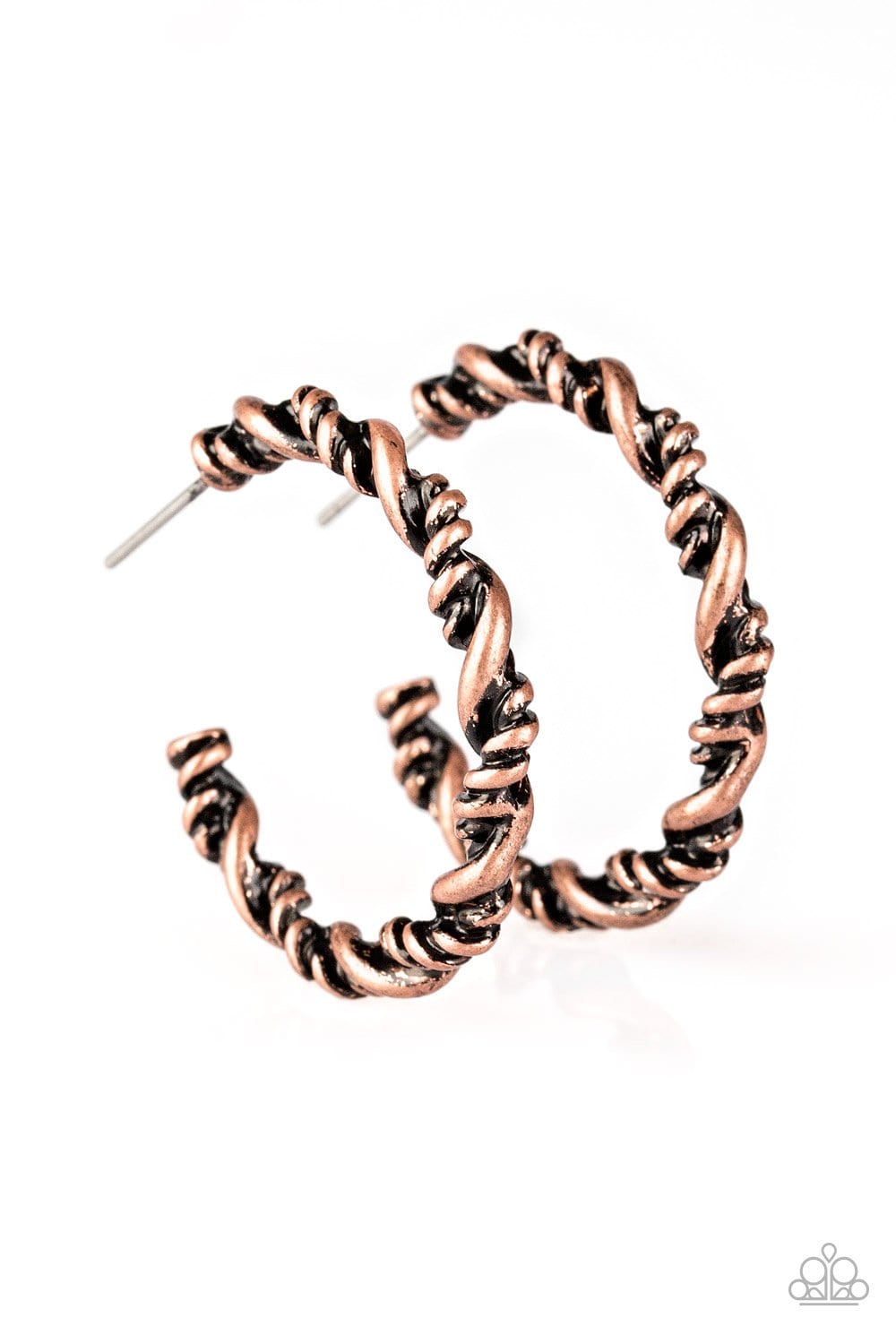 Plainly Panama Hoops