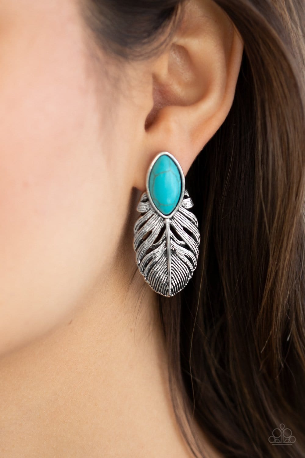 Rural Roadrunner Post Earrings